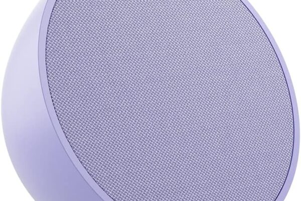 Echo Pop, Lavender Bloom