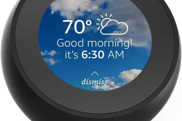 Amazon Echo Spot – Bulk Wholesale Offer, B073SQYXTW