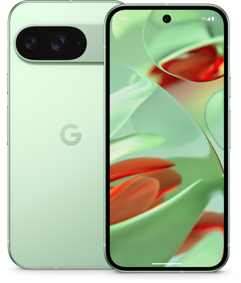 Google Pixel 9 5G DualSIM 12/128GB, Obsidian & Wintergreen– Bulk Wholesale Offer